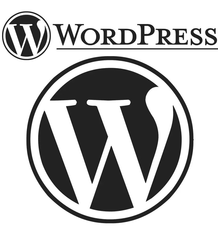 Best WordPress Web Design Company ,Zoic Digital Agency