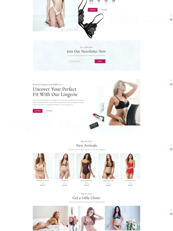 Best Ecommerce Web Design | Premium EC-10 Retail Template - Zoic Digital